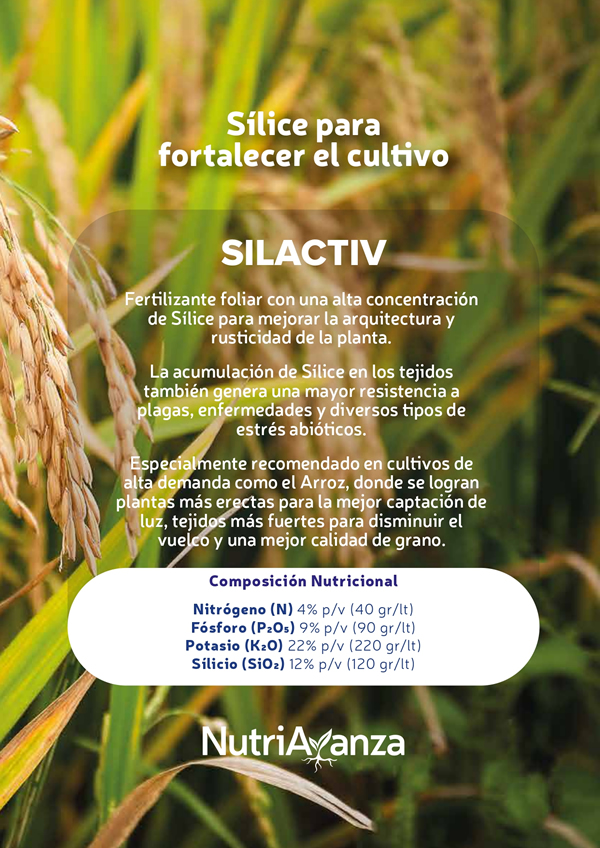 SILACTIV NUTRIAVANZA URUGUAY